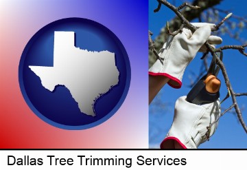 a tree being trimmed with pruning shears in Dallas, TX