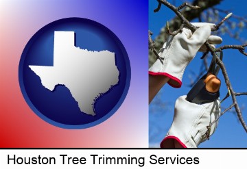 a tree being trimmed with pruning shears in Houston, TX