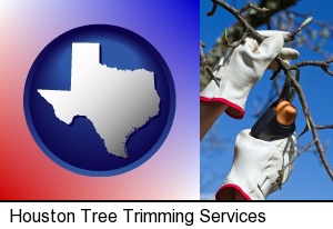 Houston, Texas - a tree being trimmed with pruning shears