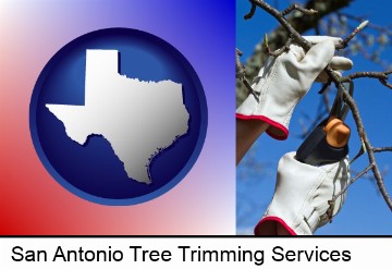 a tree being trimmed with pruning shears in San Antonio, TX