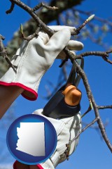 arizona map icon and a tree being trimmed with pruning shears