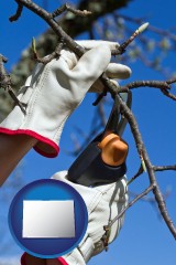 colorado map icon and a tree being trimmed with pruning shears