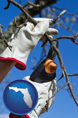 florida map icon and a tree being trimmed with pruning shears