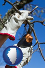 illinois map icon and a tree being trimmed with pruning shears