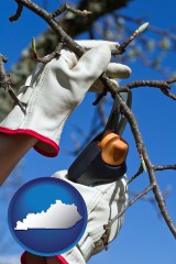 kentucky map icon and a tree being trimmed with pruning shears