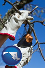 maryland map icon and a tree being trimmed with pruning shears