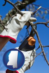 mississippi map icon and a tree being trimmed with pruning shears