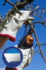montana map icon and a tree being trimmed with pruning shears