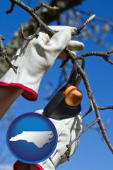 north-carolina map icon and a tree being trimmed with pruning shears