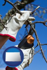 north-dakota map icon and a tree being trimmed with pruning shears
