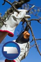 nebraska map icon and a tree being trimmed with pruning shears