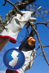 new-jersey map icon and a tree being trimmed with pruning shears