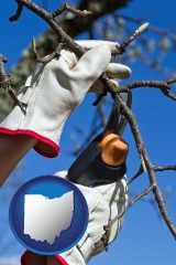 ohio map icon and a tree being trimmed with pruning shears