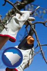 south-carolina map icon and a tree being trimmed with pruning shears