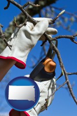 south-dakota map icon and a tree being trimmed with pruning shears