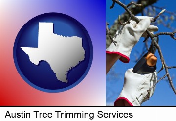 a tree being trimmed with pruning shears in Austin, TX