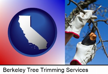 a tree being trimmed with pruning shears in Berkeley, CA