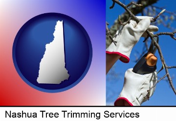 a tree being trimmed with pruning shears in Nashua, NH