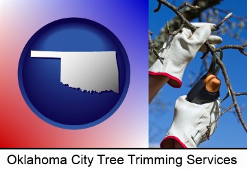 a tree being trimmed with pruning shears in Oklahoma City, OK